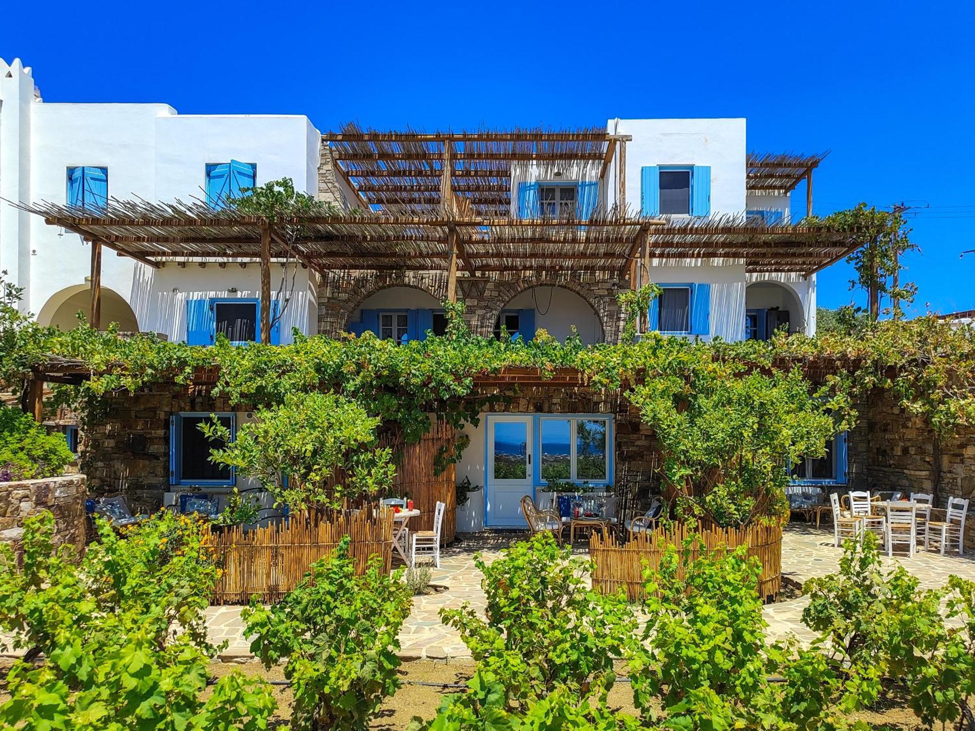 Kyma - Naxos *